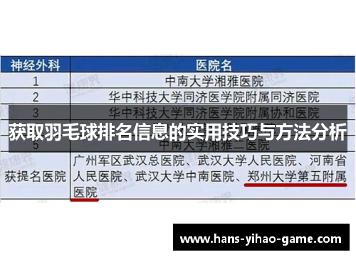 获取羽毛球排名信息的实用技巧与方法分析