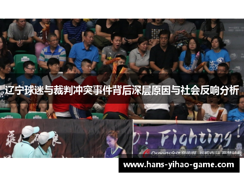辽宁球迷与裁判冲突事件背后深层原因与社会反响分析