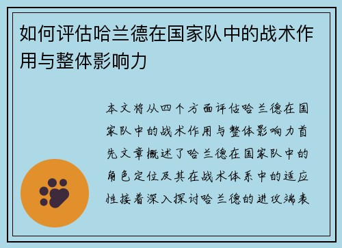 如何评估哈兰德在国家队中的战术作用与整体影响力
